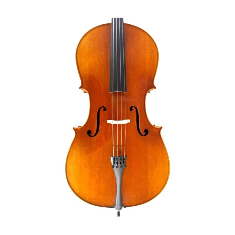 4/4 Violin outfit including bow and case